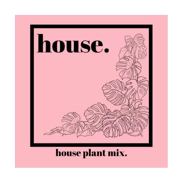 House - Organic Indoor Houseplant Soil Mix