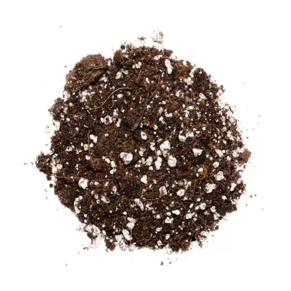 House - Organic Indoor Houseplant Soil Mix