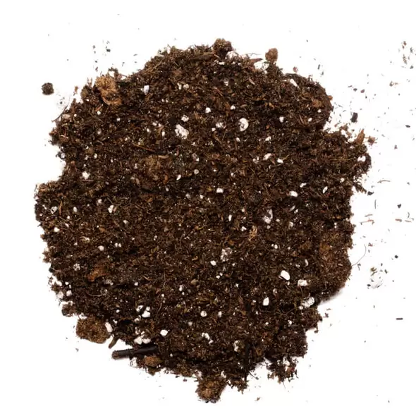 Sprout - Organic Seed Starting And Potting Soil Mix