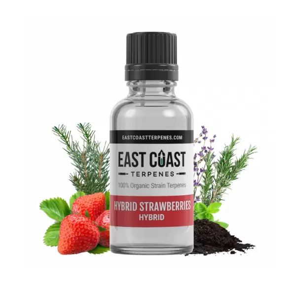 Hybrid Strawberries Terpene Profile Wax Liquidizer (Hybrid)