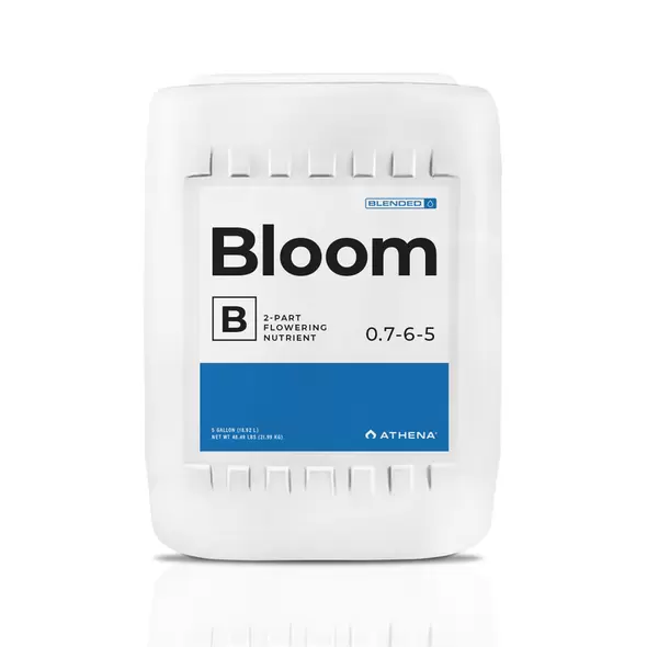 Bloom B - Athena 5 Gal