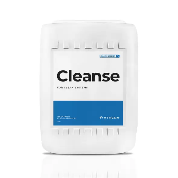 Cleanse - Athena