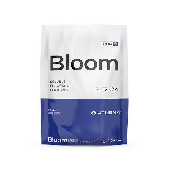 Bloom - Athena