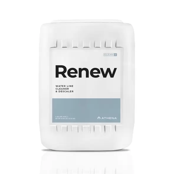 Renew - Athena