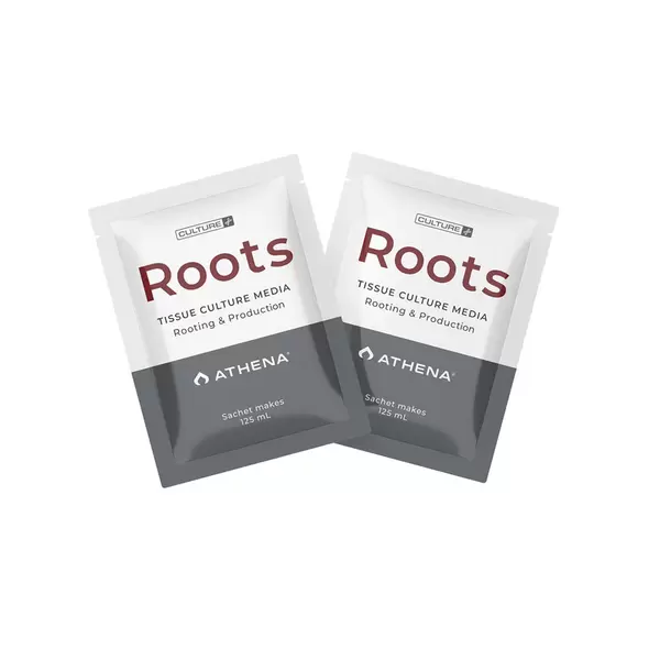 Roots Culture Media - Athena