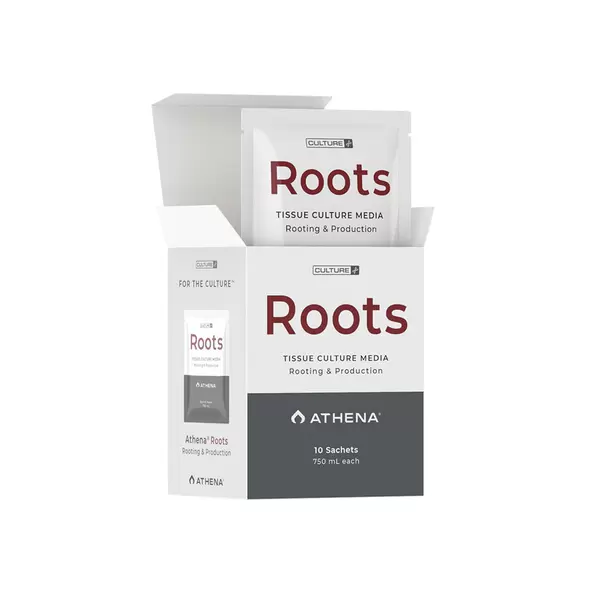 Roots Culture Media - Athena