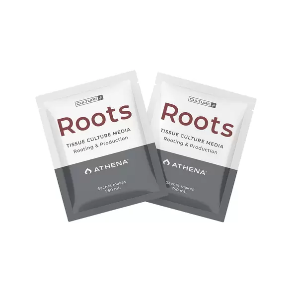Roots Culture Media - Athena