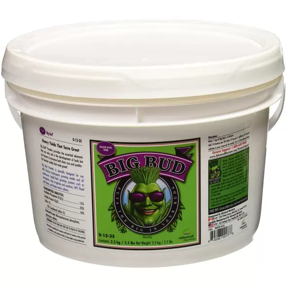 Big Bud Powder- Advanced Nutrients