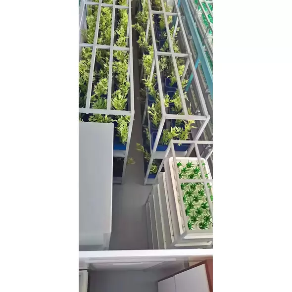 THE PROTECTOR Magic Farm Modular Container