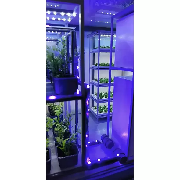THE PROTECTOR Magic Farm Modular Container