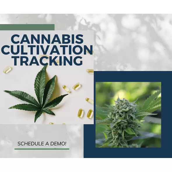 Cannabis Cultivation Tracking - Royal 4 Systems