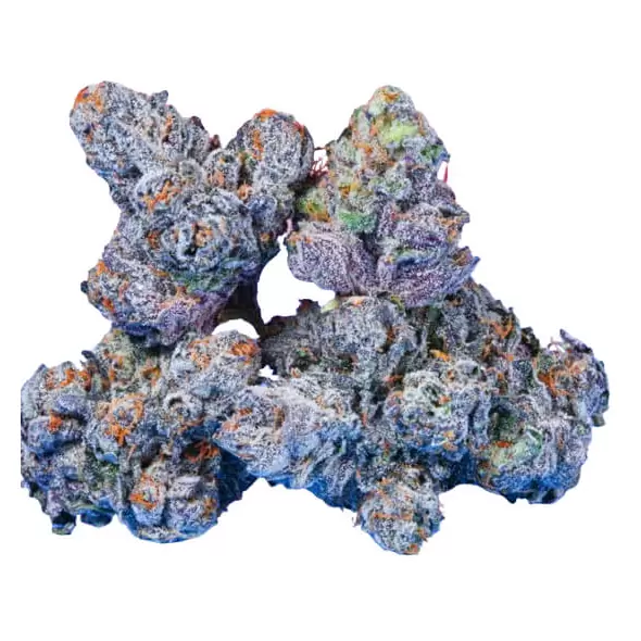 Biscotti Pippen - Trilogene Seeds