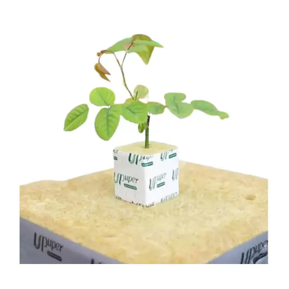 CP S40 Propagation Cube - Upuper Rockwool
