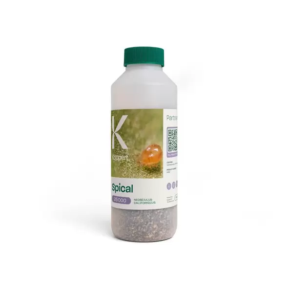 Spical - Natural Enemies