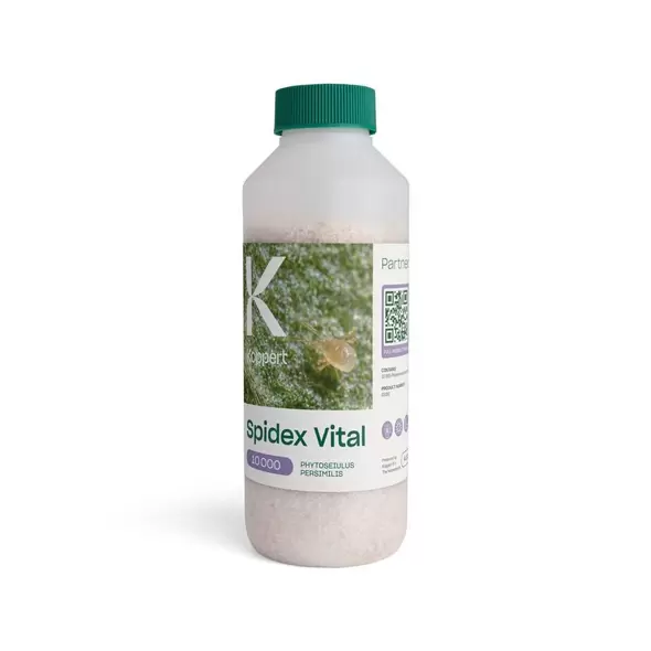 Spidex Vital - Natural Enemies