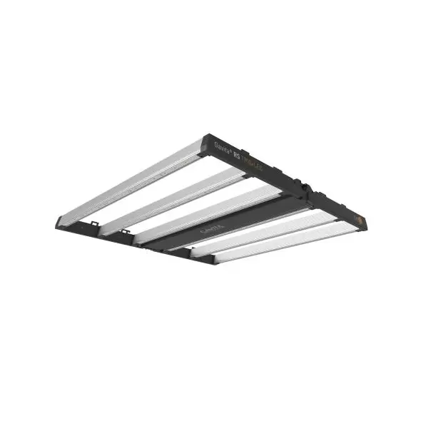 Gavita RS 1900e LED 208 480 Volt