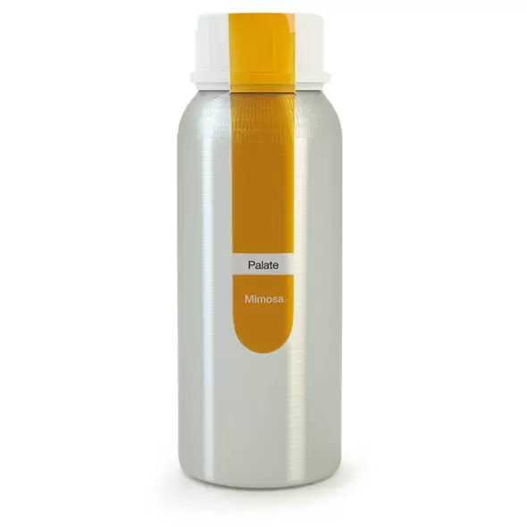 Eybna - Palate Line Mimosa
