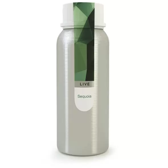 Eybna - Live Line Sequoia