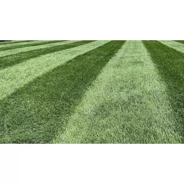 Emerald 10-0-20 Lawn Fertilizer