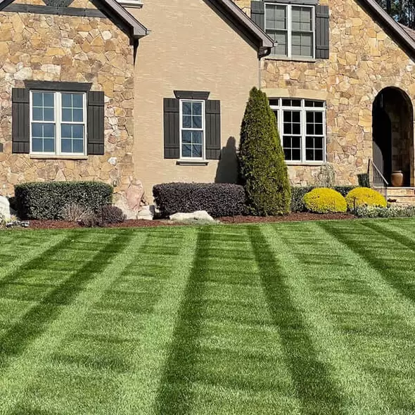 Almighty 20-0-10 Lawn FertilizerAlmighty 20-0-10 Lawn Fertilizer