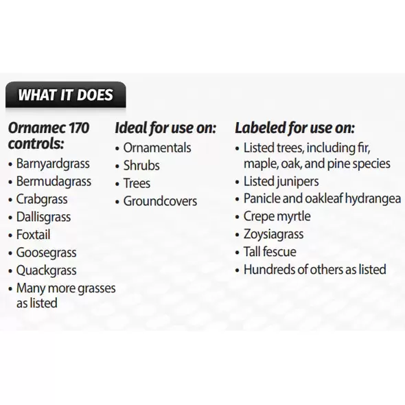 Ornamec 170 Grass Herbicide