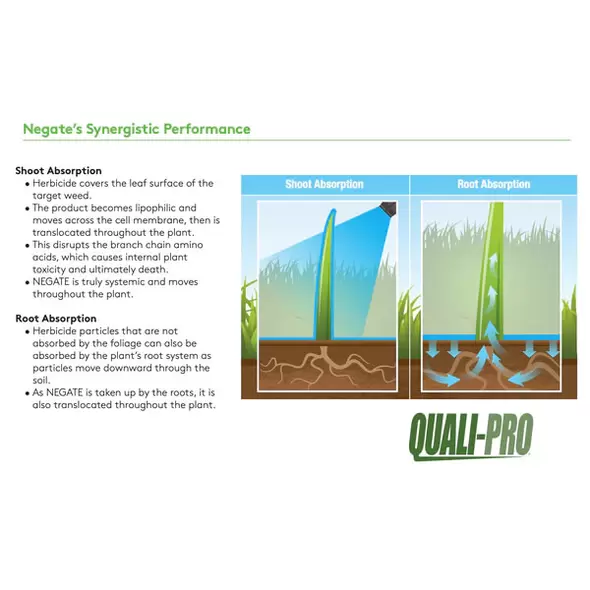 Negate 37WG Herbicide