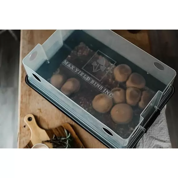 Max Yield Bins - Beginner Kit