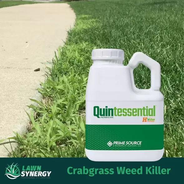Quintessential Weed Killer