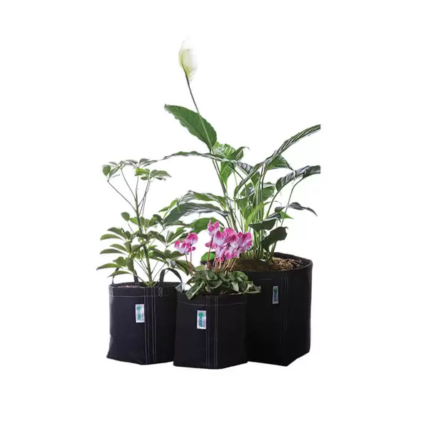 GeoPot Garden Kit - Left Coast Wholesale
