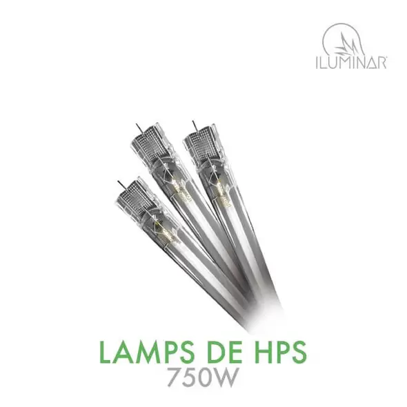 DE HPS Lamp - ILuminar Lighting