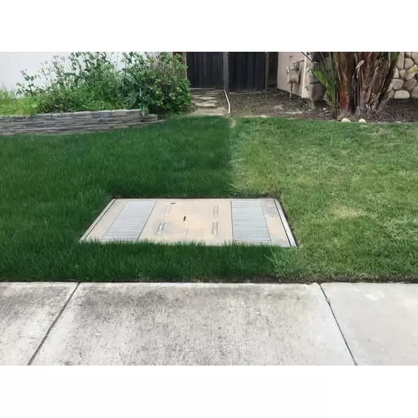 LESCO Estate Eagle Plus Grass Seed