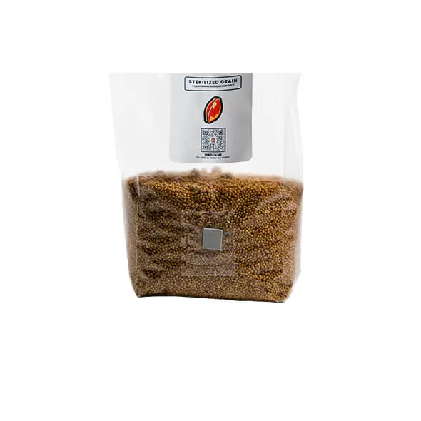 MushroomSupplies Sterilized Millet Grain Bag - 3 LB