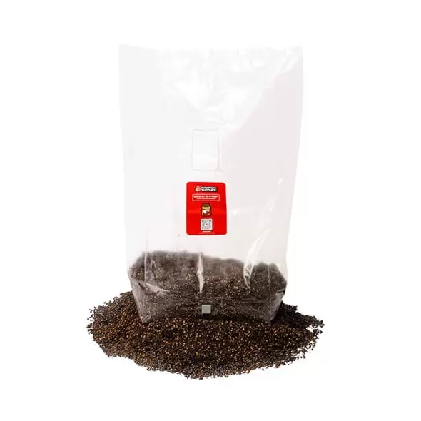 MushroomSupplies Grow Kit In-A-Bag - 5 LB
