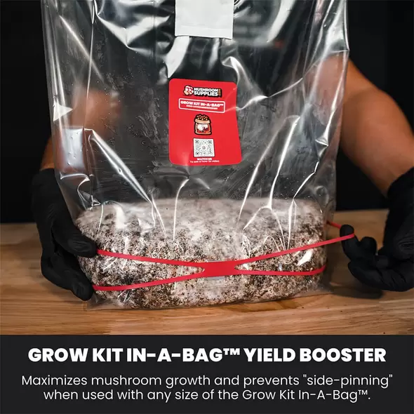 MushroomSupplies Mycomultiplier™ Yield Booster - 5 CT