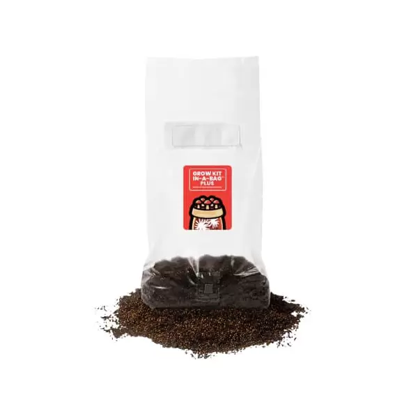 MushroomSupplies Grow Kit In-A-Bag PLUS - 5 LB