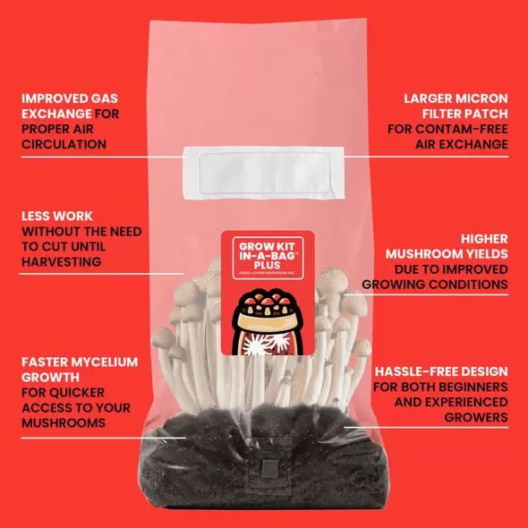 MushroomSupplies Grow Kit In-A-Bag PLUS - 5 LB