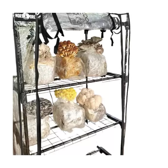 North Spore - EC - BoomRoom Tent