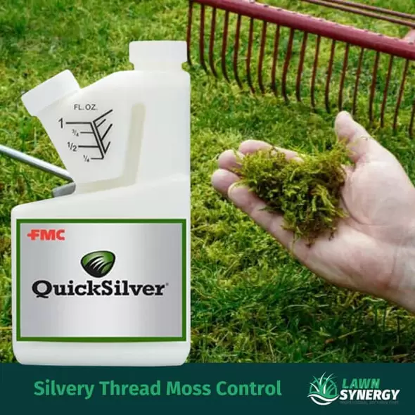 QuickSilver Weed Killer