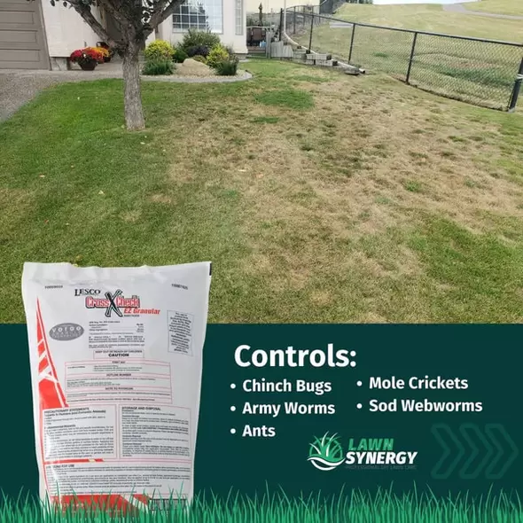 Crosscheck EZ Granular Insecticide - 25 lbs.