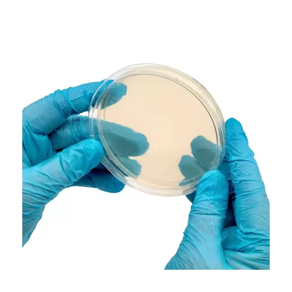 North Spore - EC - Pre-Poured Sterile Agar Plates - 10 CT
