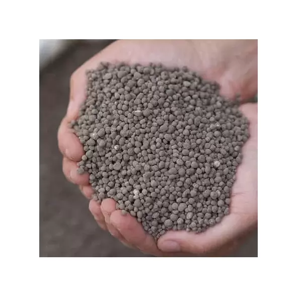 Organic Lawn Fertilizer 5-3-0 BioBoost with 2% Iron