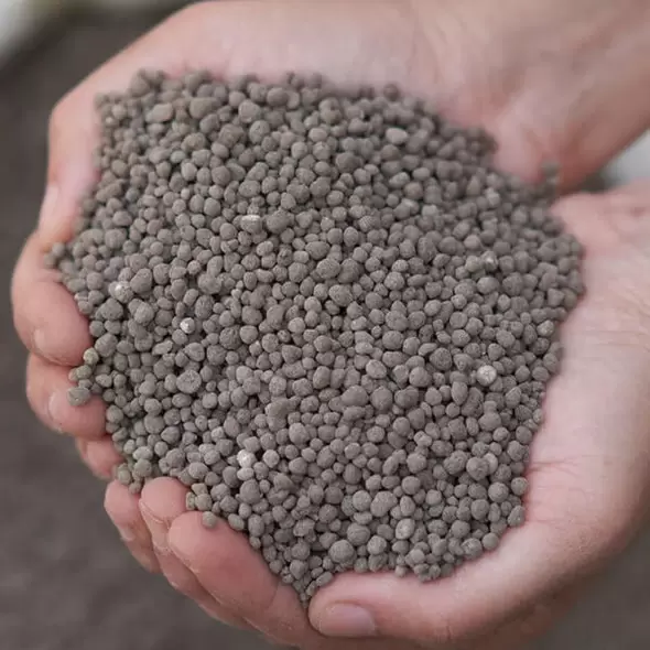 Triple Super Phosphate 0-46-0