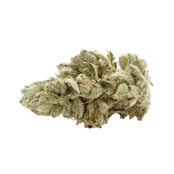 Gelato Glue - Platinum Seeds