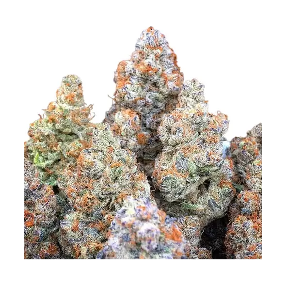 Blue Dream - Platinum Seeds