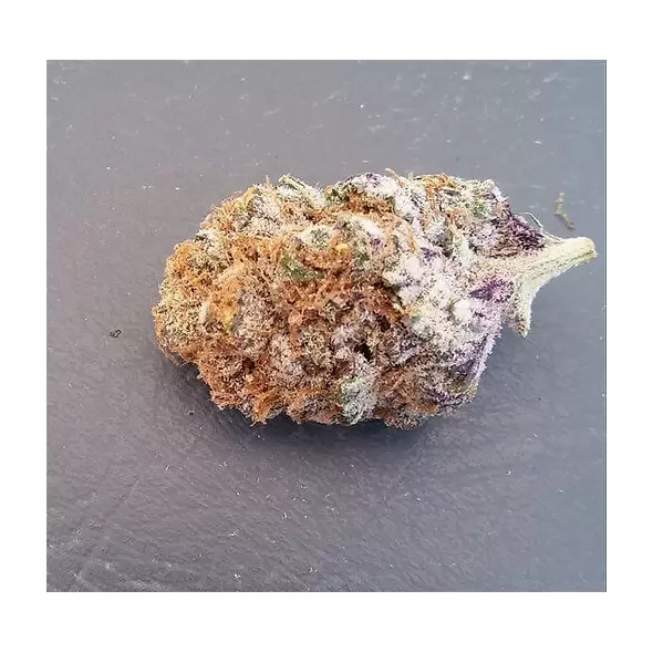 Mendocino Purple Kush - Platinum Seeds