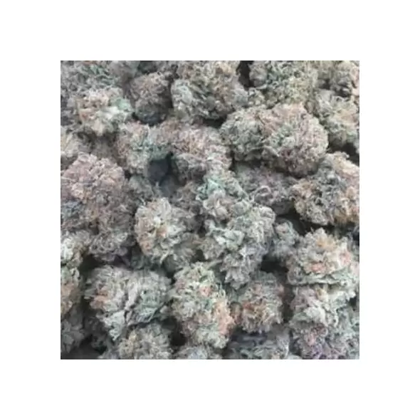 Watermelon Zkittlez - Platinum Seeds