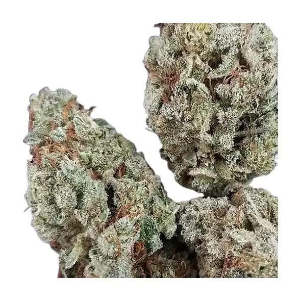 Gorilla Glue #4 Autoflower - Platinum Seeds
