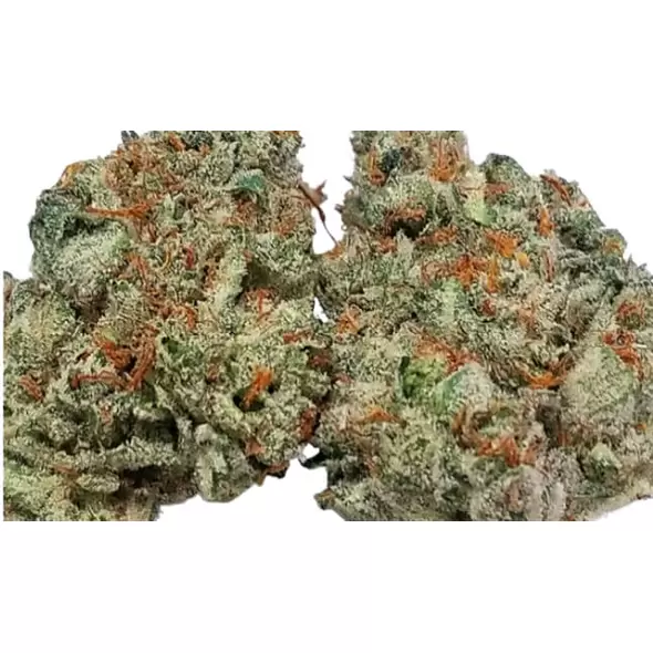 Michigan Mindf*ck - Platinum Seeds