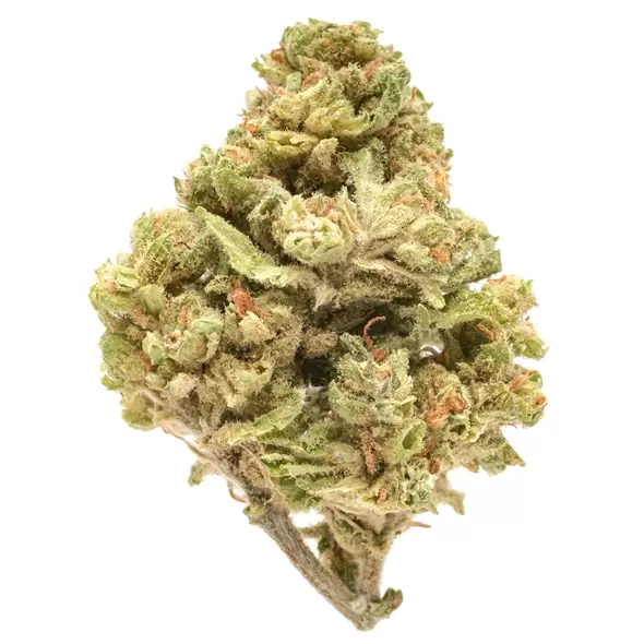 Acapulco Gold - Platinum Seeds