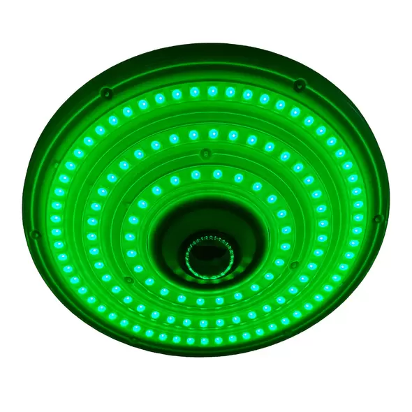 Green Diamond 12MP Security Camera - InfraGreen Systems